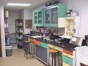 245839-chemical-feed-pumps